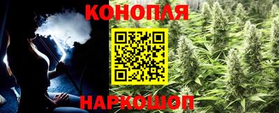 Альфа ПВП Дубна