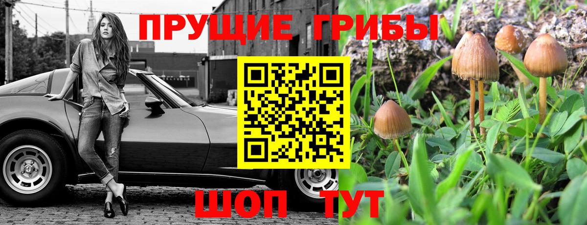 Галлюциногенные грибы прущие грибы  Вход с VPN  Псилоцибиновые грибы мицелий  Минусинск 